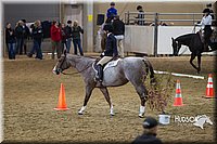 4H-State-2015-0782.jpg