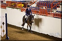 4H-State-2015-1002.jpg