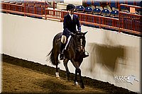 4H-State-2015-1005.jpg