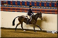 4H-State-2015-1009.jpg