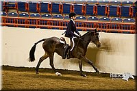 4H-State-2015-1009.jpg