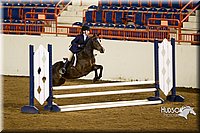 4H-State-2015-1016.jpg