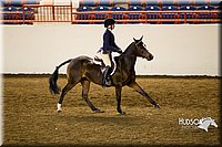 4H-State-2015-1018.jpg