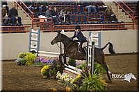 4H-State-2015-0837.jpg