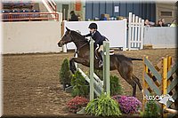 4H-State-2015-0841.jpg