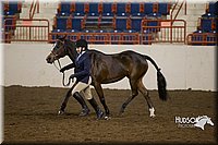 4H-State-2015-0846.jpg