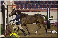 4H-State-2015-0847.jpg