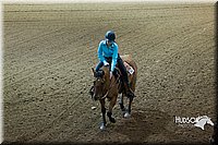 4H-State-2015-0967.jpg