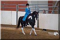 4H-State-2015-0294.jpg