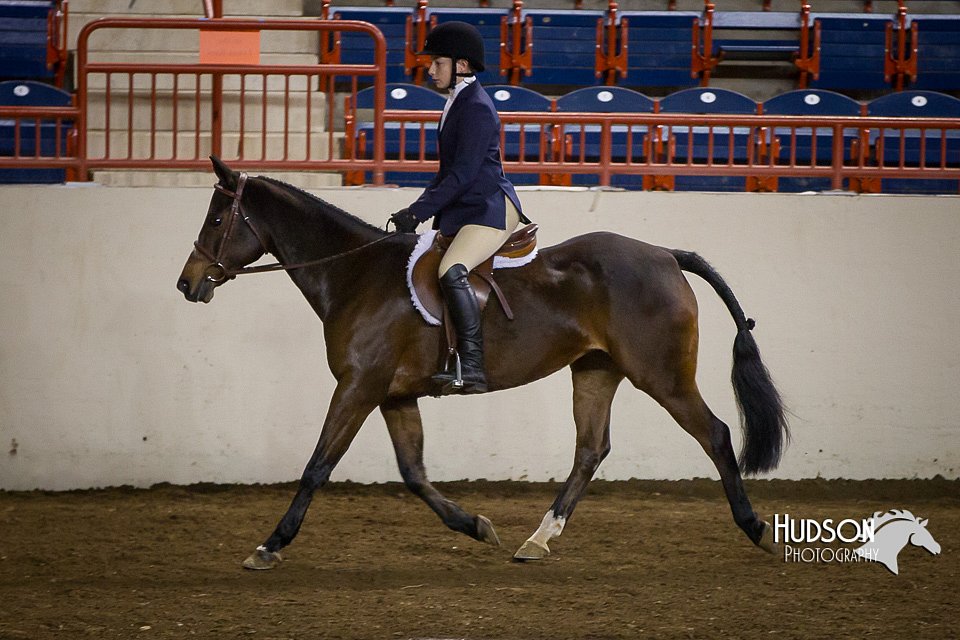 4H-State-2015-1424.jpg