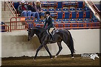 4H-State-2015-1418.jpg