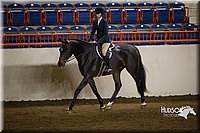 4H-State-2015-1419.jpg