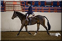 4H-State-2015-1424.jpg