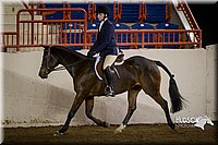 4H-State-2015-1425.jpg