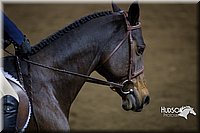 4H-State-2015-1437.jpg