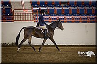 4H-State-2015-1446.jpg