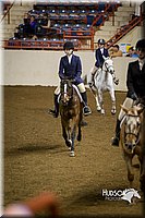 4H-State-2015-1447.jpg