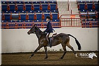 4H-State-2015-1452.jpg