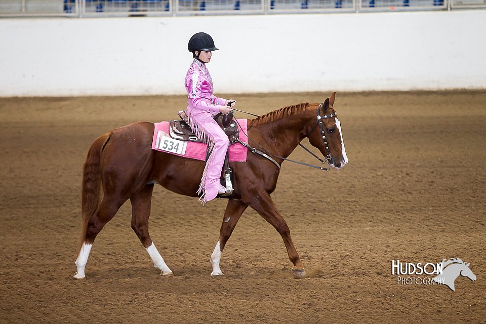 4H-State-2015-0191.jpg