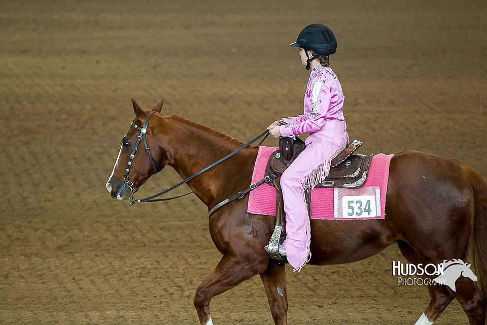 4H-State-2015-0194.jpg