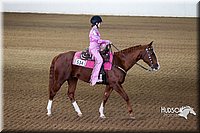 4H-State-2015-0188.jpg