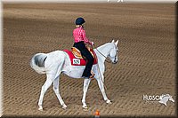 4H-State-2015-0202.jpg