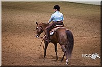 4H-State-2015-1222.jpg