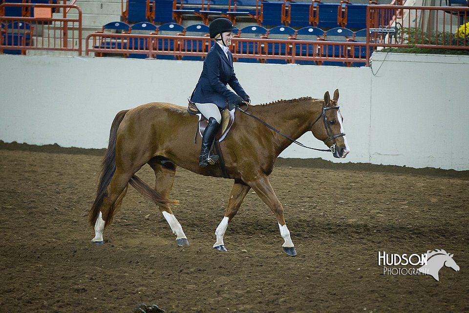 4H-State-2015-1298.jpg