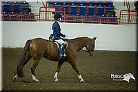 4H-State-2015-1290.jpg