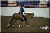 4H-State-2015-1295.jpg