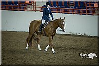 4H-State-2015-1296.jpg