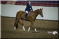 4H-State-2015-1297.jpg