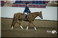 4H-State-2015-1298.jpg