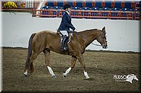 4H-State-2015-1299.jpg