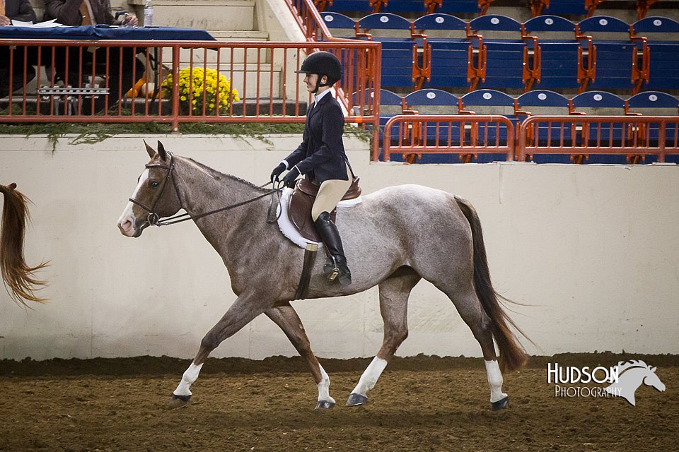 4H-State-2015-1208.jpg