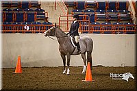 4H-State-2015-1188.jpg