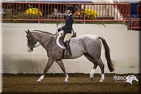 4H-State-2015-1191.jpg