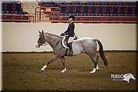 4H-State-2015-1199.jpg