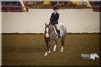 4H-State-2015-1200.jpg