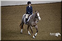 4H-State-2015-1201.jpg