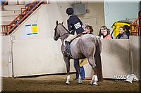 4H-State-2015-1204.jpg