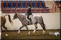 4H-State-2015-1207.jpg