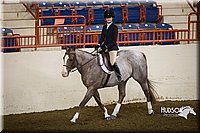 4H-State-2015-1213.jpg