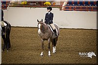 4H-State-2015-1235.jpg