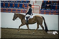 4H-State-2015-1254.jpg