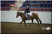 4H-State-2015-1256.jpg