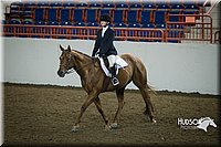 4H-State-2015-1257.jpg