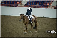 4H-State-2015-1258.jpg