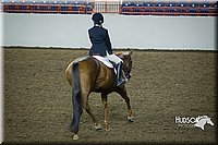 4H-State-2015-1262.jpg