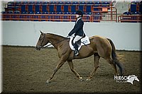 4H-State-2015-1263.jpg